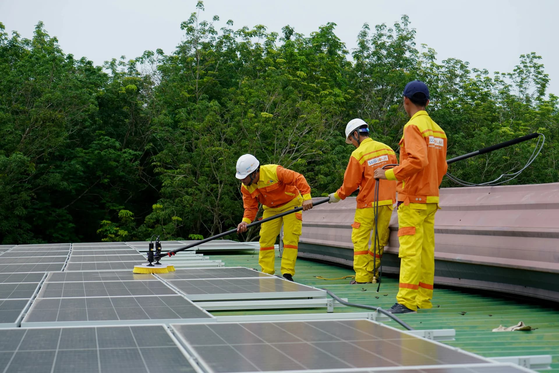 Owners and managers who rely on solar arrays