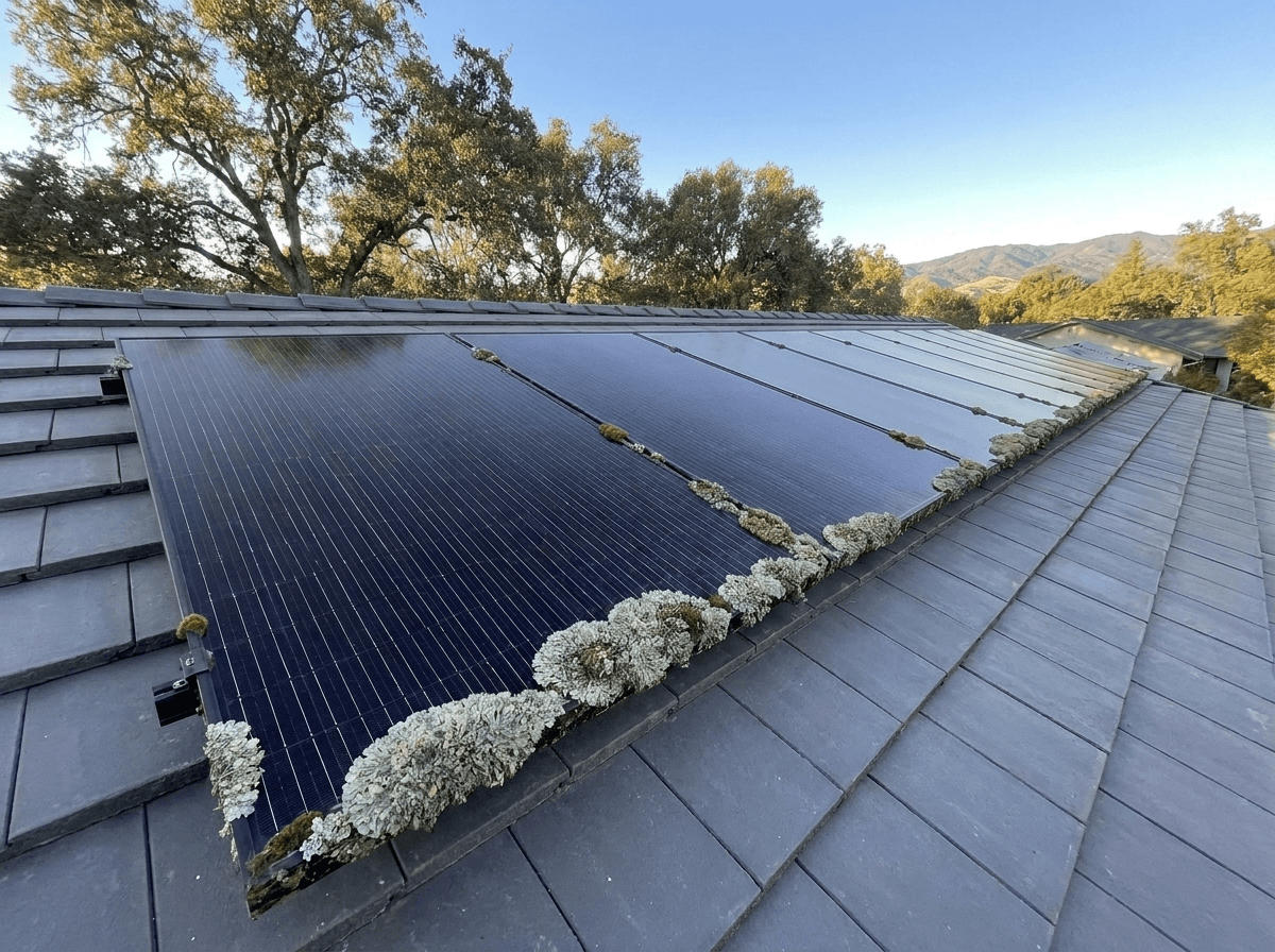 Solar Roof Cleaning