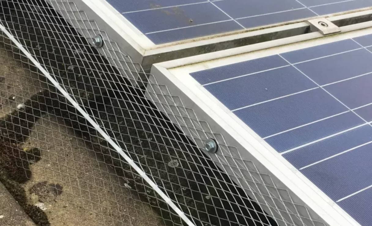 Solar Panel Pest Control