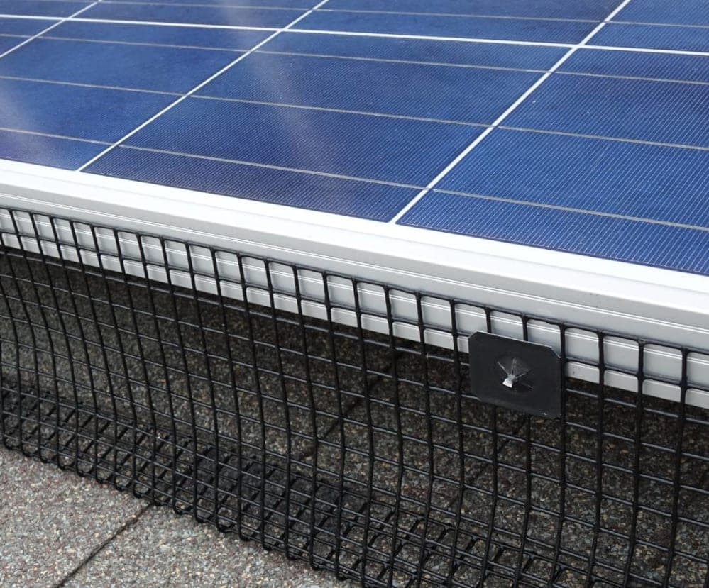 Solar Panel Bird Proofing